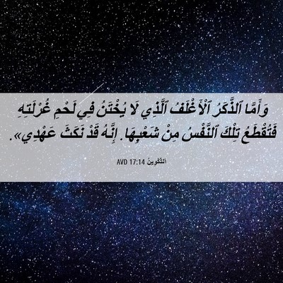 Picture 06 - اَلتَّكْوِينُ 17:14 AVD - وَأَمَّا ٱلذَّكَرُ - Bible Verse Picture