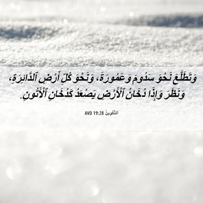 Picture 06 - اَلتَّكْوِينُ 19:28 AVD - وَتَطَلَّعَ نَحْوَ - Bible Verse Picture