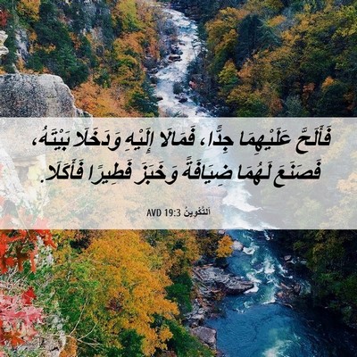 Picture 06 - اَلتَّكْوِينُ 19:3 AVD - فَأَلَحَّ عَلَيْهِمَا - Bible Verse Picture