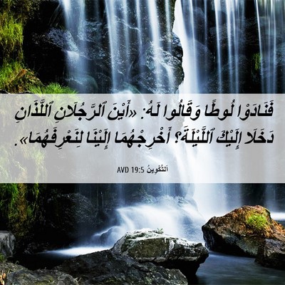 Picture 06 - اَلتَّكْوِينُ 19:5 AVD - فَنَادَوْا لُوطًا - Bible Verse Picture