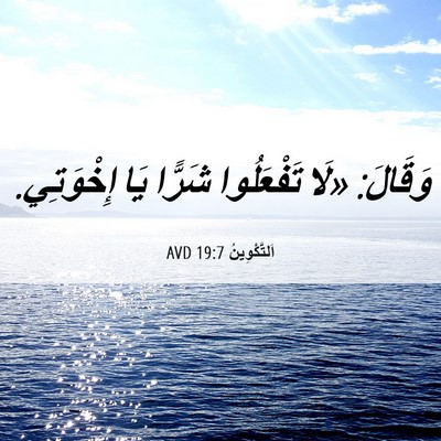 Picture 06 - اَلتَّكْوِينُ 19:7 AVD - وَقَالَ: «لَا تَفْعَلُوا - Bible Verse Picture
