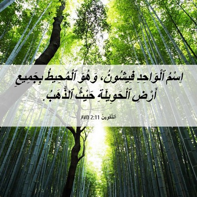 Picture 06 - اَلتَّكْوِينُ 2:11 AVD - اِسْمُ ٱلْوَاحِدِ - Bible Verse Picture