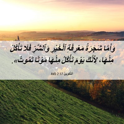 Picture 06 - اَلتَّكْوِينُ 2:17 AVD - وَأَمَّا شَجَرَةُ - Bible Verse Picture