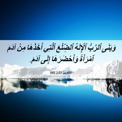 Picture 06 - اَلتَّكْوِينُ 2:22 AVD - وَبَنَى ٱلرَّبُّ - Bible Verse Picture