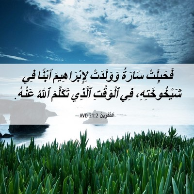Picture 06 - اَلتَّكْوِينُ 21:2 AVD - فَحَبِلَتْ سَارَةُ - Bible Verse Picture