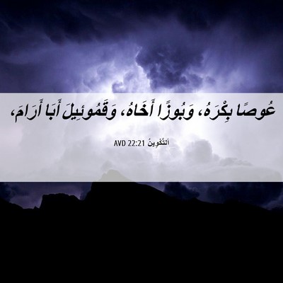 Picture 06 - اَلتَّكْوِينُ 22:21 AVD - عُوصًا بِكْرَهُ، وَبُوزًا - Bible Verse Picture