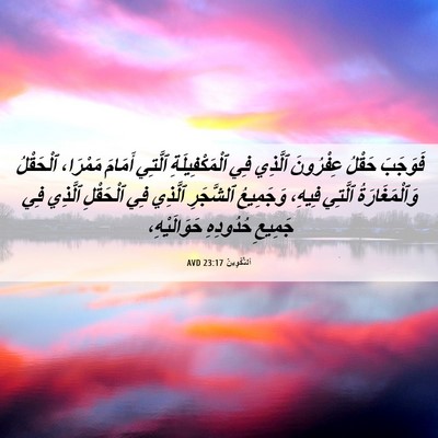 Picture 06 - اَلتَّكْوِينُ 23:17 AVD - فَوَجَبَ حَقْلُ عِفْرُونَ - Bible Verse Picture