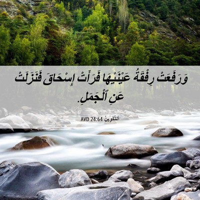 Picture 06 - اَلتَّكْوِينُ 24:64 AVD - وَرَفَعَتْ رِفْقَةُ - Bible Verse Picture