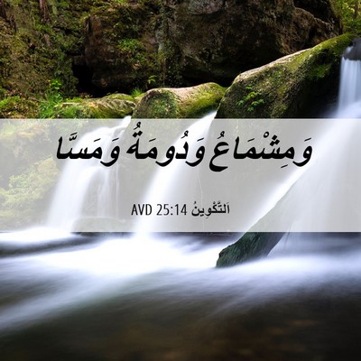 Picture 06 - اَلتَّكْوِينُ 25:14 AVD - وَمِشْمَاعُ وَدُومَةُ - Bible Verse Picture