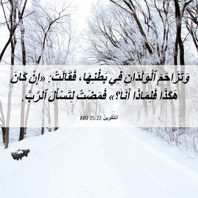 Picture 06 - اَلتَّكْوِينُ 25:22 AVD - وَتَزَاحَمَ ٱلْوَلَدَانِ - Bible Verse Picture