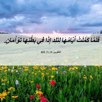 Picture 06 - اَلتَّكْوِينُ 25:24 AVD - فَلَمَّا كَمُلَتْ - Bible Verse Picture
