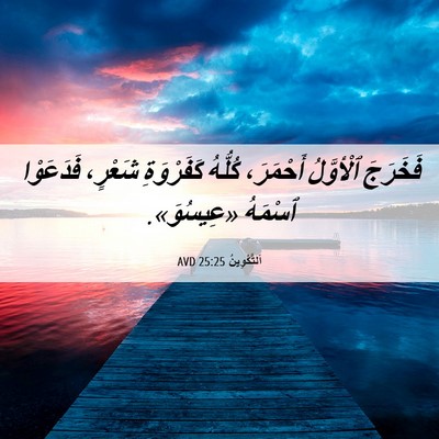 Picture 06 - اَلتَّكْوِينُ 25:25 AVD - فَخَرَجَ ٱلْأوَّلُ - Bible Verse Picture