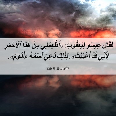 Picture 06 - اَلتَّكْوِينُ 25:30 AVD - فَقَالَ عِيسُو - Bible Verse Picture
