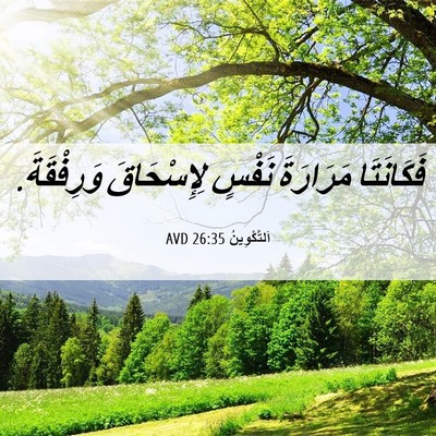 Picture 06 - اَلتَّكْوِينُ 26:35 AVD - فَكَانَتَا مَرَارَةَ - Bible Verse Picture