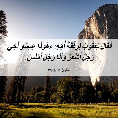 Picture 06 - اَلتَّكْوِينُ 27:11 AVD - فَقَالَ يَعْقُوبُ - Bible Verse Picture