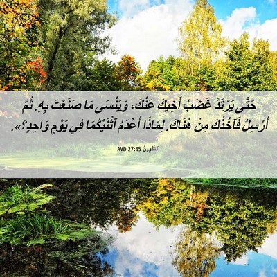 Picture 06 - اَلتَّكْوِينُ 27:45 AVD - حَتَّى يَرْتَدَّ غَضَبُ - Bible Verse Picture