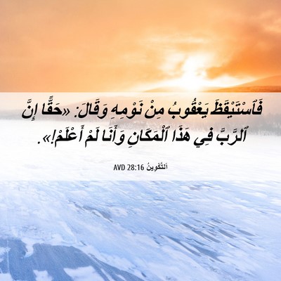 Picture 06 - اَلتَّكْوِينُ 28:16 AVD - فَٱسْتَيْقَظَ يَعْقُوبُ - Bible Verse Picture