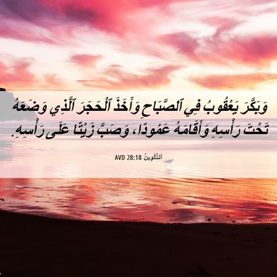 Picture 06 - اَلتَّكْوِينُ 28:18 AVD - وَبَكَّرَ يَعْقُوبُ فِي - Bible Verse Picture