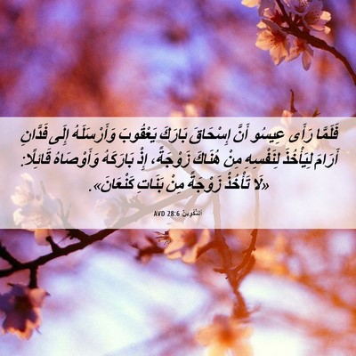 Picture 06 - اَلتَّكْوِينُ 28:6 AVD - فَلَمَّا رَأَى عِيسُو - Bible Verse Picture