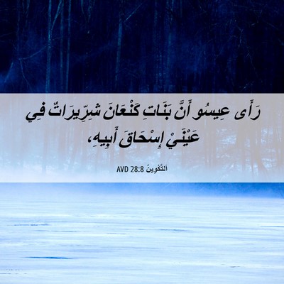 Picture 06 - اَلتَّكْوِينُ 28:8 AVD - رَأَى عِيسُو أَنَّ بَنَاتِ - Bible Verse Picture