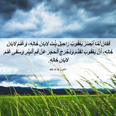 Picture 06 - اَلتَّكْوِينُ 29:10 AVD - فَكَانَ لَمَّا أَبْصَرَ - Bible Verse Picture