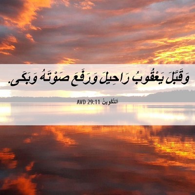 Picture 06 - اَلتَّكْوِينُ 29:11 AVD - وَقَبَّلَ يَعْقُوبُ - Bible Verse Picture
