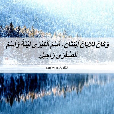 Picture 06 - اَلتَّكْوِينُ 29:16 AVD - وَكَانَ لِلَابَانَ - Bible Verse Picture