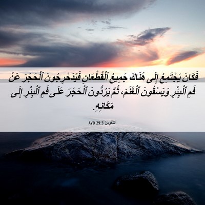 Picture 06 - اَلتَّكْوِينُ 29:3 AVD - فَكَانَ يَجْتَمِعُ إِلَى - Bible Verse Picture