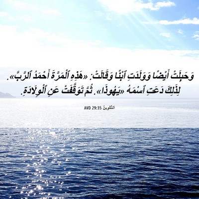 Picture 06 - اَلتَّكْوِينُ 29:35 AVD - وَحَبِلَتْ أَيْضًا - Bible Verse Picture