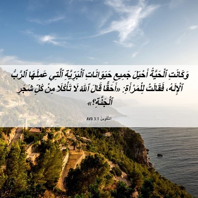 Picture 06 - اَلتَّكْوِينُ 3:1 AVD - وَكَانَتِ ٱلْحَيَّةُ - Bible Verse Picture