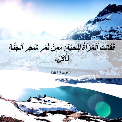 Picture 06 - اَلتَّكْوِينُ 3:2 AVD - فَقَالَتِ ٱلْمَرْأَةُ - Bible Verse Picture