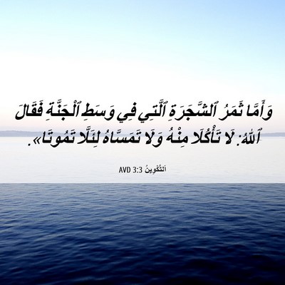 Picture 06 - اَلتَّكْوِينُ 3:3 AVD - وَأَمَّا ثَمَرُ - Bible Verse Picture