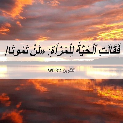 Picture 06 - اَلتَّكْوِينُ 3:4 AVD - فَقَالَتِ ٱلْحَيَّةُ - Bible Verse Picture