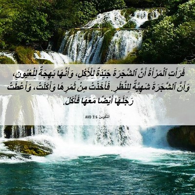 Picture 06 - اَلتَّكْوِينُ 3:6 AVD - فَرَأَتِ ٱلْمَرْأَةُ - Bible Verse Picture