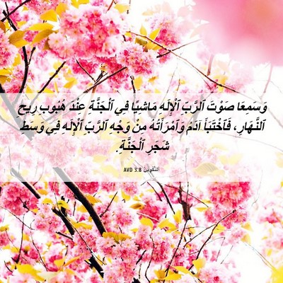 Picture 06 - اَلتَّكْوِينُ 3:8 AVD - وَسَمِعَا صَوْتَ ٱلرَّبِّ - Bible Verse Picture