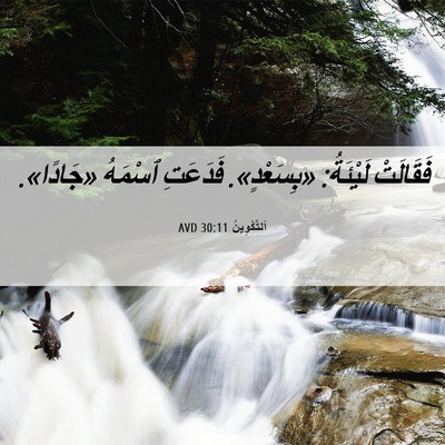 Picture 06 - اَلتَّكْوِينُ 30:11 AVD - فَقَالَتْ لَيْئَةُ: - Bible Verse Picture