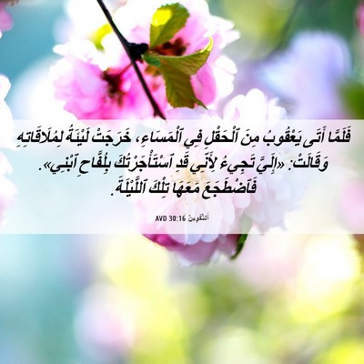 Picture 06 - اَلتَّكْوِينُ 30:16 AVD - فَلَمَّا أَتَى يَعْقُوبُ - Bible Verse Picture
