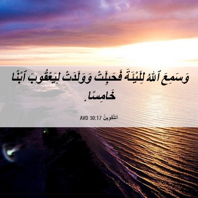 Picture 06 - اَلتَّكْوِينُ 30:17 AVD - وَسَمِعَ ٱللهُ لِلَيْئَةَ - Bible Verse Picture