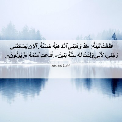 Picture 06 - اَلتَّكْوِينُ 30:20 AVD - فَقَالَتْ لَيْئَةُ: «قَدْ - Bible Verse Picture
