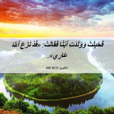 Picture 06 - اَلتَّكْوِينُ 30:23 AVD - فَحَبِلَتْ وَوَلَدَتِ - Bible Verse Picture