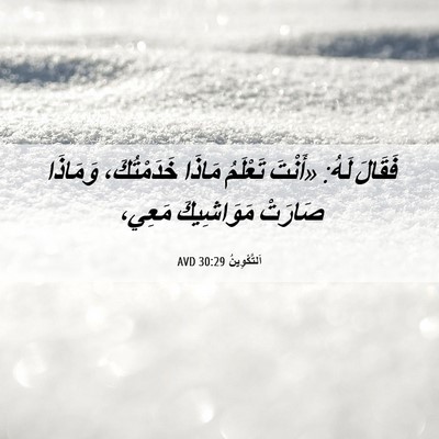 Picture 06 - اَلتَّكْوِينُ 30:29 AVD - فَقَالَ لَهُ: «أَنْتَ - Bible Verse Picture