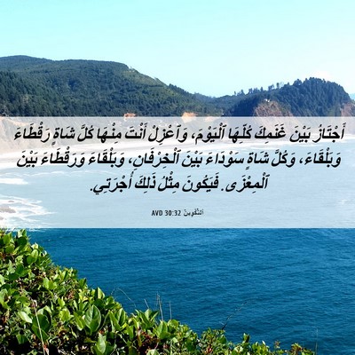 Picture 06 - اَلتَّكْوِينُ 30:32 AVD - أَجْتَازُ بَيْنَ غَنَمِكَ - Bible Verse Picture