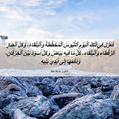 Picture 06 - اَلتَّكْوِينُ 30:35 AVD - فَعَزَلَ فِي ذَلِكَ - Bible Verse Picture