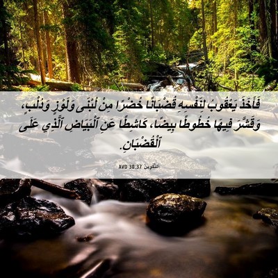 Picture 06 - اَلتَّكْوِينُ 30:37 AVD - فَأَخَذَ يَعْقُوبُ - Bible Verse Picture