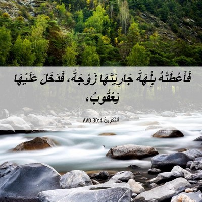 Picture 06 - اَلتَّكْوِينُ 30:4 AVD - فَأَعْطَتْهُ بِلْهَةَ - Bible Verse Picture