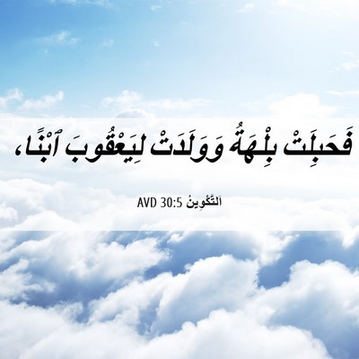 Picture 06 - اَلتَّكْوِينُ 30:5 AVD - فَحَبِلَتْ بِلْهَةُ - Bible Verse Picture