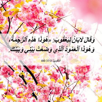 Picture 06 - اَلتَّكْوِينُ 31:51 AVD - وَقَالَ لَابَانُ - Bible Verse Picture