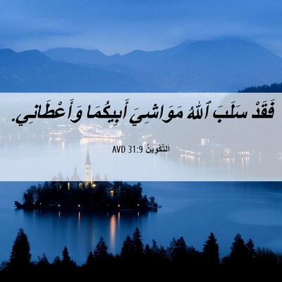 Picture 06 - اَلتَّكْوِينُ 31:9 AVD - فَقَدْ سَلَبَ ٱللهُ - Bible Verse Picture