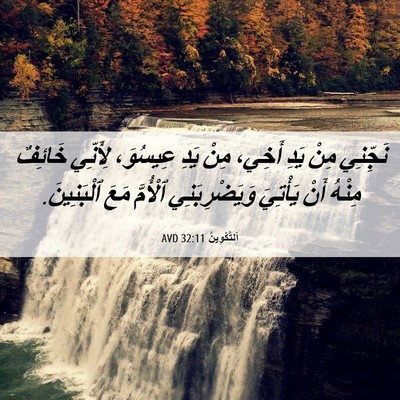 Picture 06 - اَلتَّكْوِينُ 32:11 AVD - نَجِّنِي مِنْ يَدِ أَخِي، - Bible Verse Picture