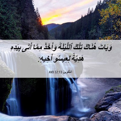 Picture 06 - اَلتَّكْوِينُ 32:13 AVD - وَبَاتَ هُنَاكَ تِلْكَ - Bible Verse Picture